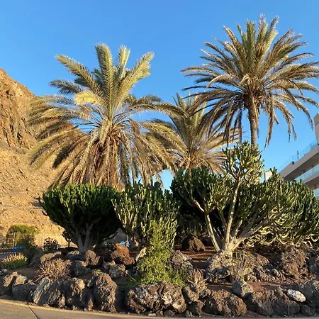 La Arenita - Oceanview Palm-mar